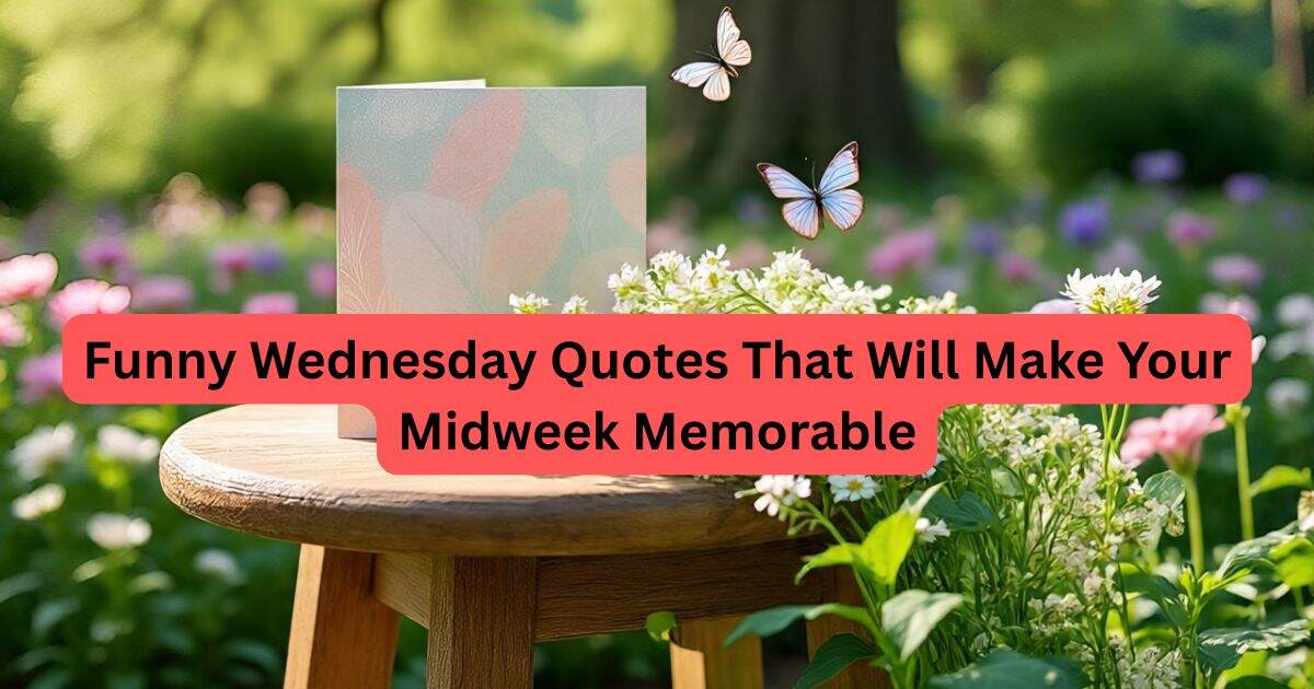 95+ Funny Wednesday Quotes That Will Make Your Midweek Memorable