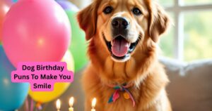 52 Dog Birthday Puns To Make You Smile