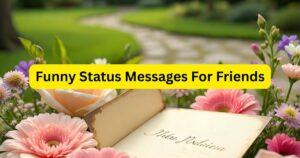 Funny Status Messages For Friends