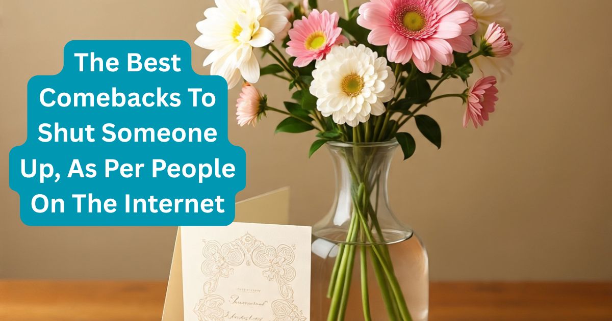 78 Of The Best Comebacks To Shut Someone Up, As Per People On The Internet