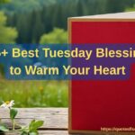 224+ Everyone Have a Blessed Day Messages with Gratitude