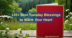 135+ Best Tuesday Blessings to Warm Your Heart