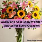Funny Senior Quotes – 80+ Memorable Graduation Punchlines