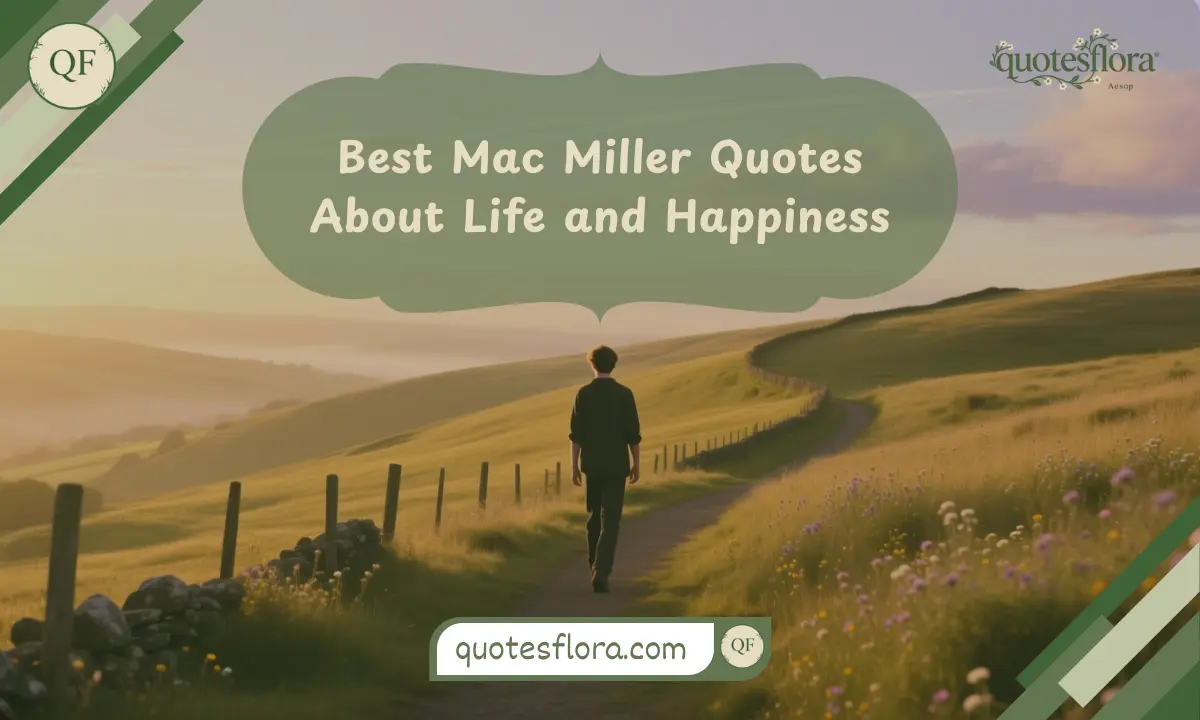 A peaceful hilltop scene showing warm sunlight and calm vibes inspired by mac miller quotes about life and happiness.